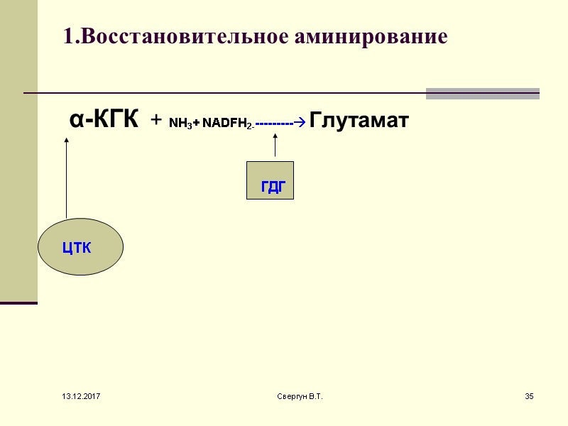 1.Восстановительное аминирование  α-КГК  + NH3+ NADFH2---------- Глутамат ЦТК ГДГ 13.12.2017 35 Свергун